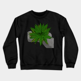 Maguey en la roca Crewneck Sweatshirt